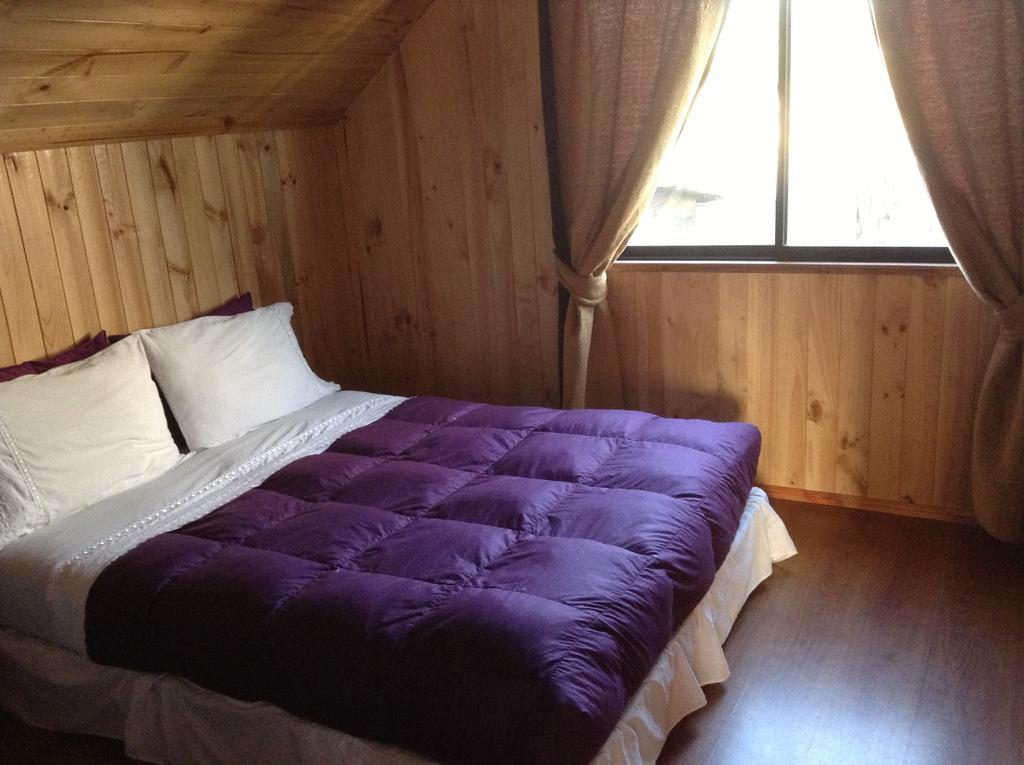 Hostal Monica Pucón Rum bild
